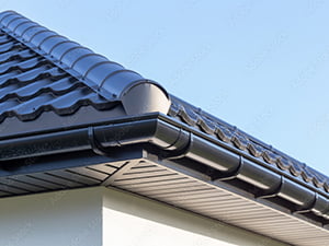 Lasting Gutter System1